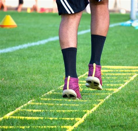 Agility Training: Insights from the Research .